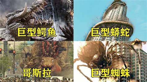 巨型蟒蛇,巨型蚂蚁,泰坦巨蟒最大(第8页)_大山谷图库