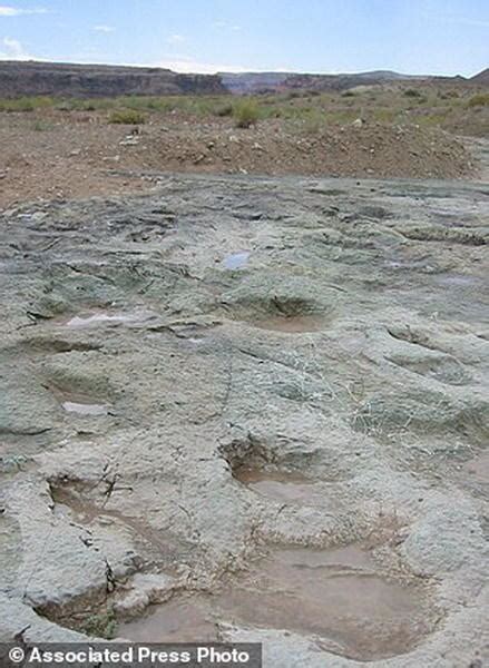 玻利维亚发现迄今最大恐龙足迹化石 肉食性阿贝力龙8千万年前留下 - 化石网