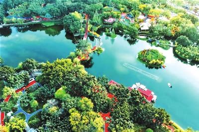 你知道吗？在重庆大渡口巴国城附近居然有个爱情公园……|重庆市_新浪新闻