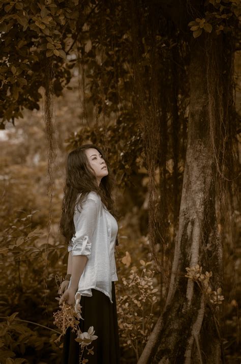清清淡淡的图片