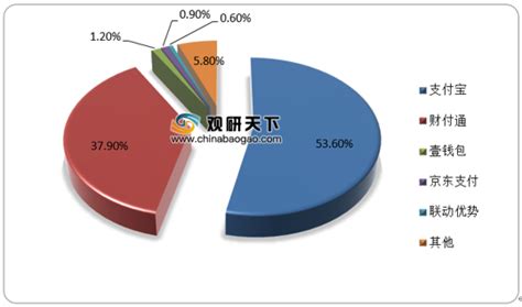第三方支付市场分析报告_2020-2026年中国第三方支付市场运营态势与投资策略分析报告_中国产业研究报告网