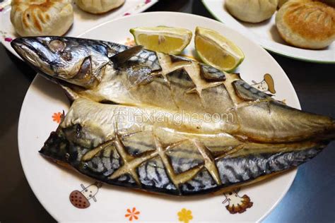 鲭鱼片批发价格 山东威海 其他未分类-食品商务网