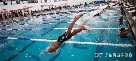 中国跳水“梦之队”压水花秘诀是这样…|水花|楔形|梦之队_新浪新闻