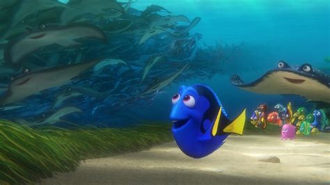 海底总动员_海底奇兵 / 寻找尼莫 / 海底总动员3D / Finding Nemo 3D电影_在线观看_演员表_下载-乐视网