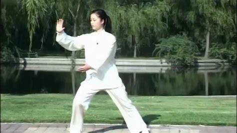 感恩太极3-传统杨氏太极拳85式教学-扎西老师_47-85式_腾讯视频