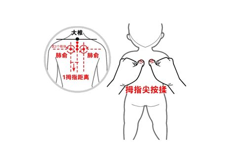 肺俞怎么找最简单图片,大椎和肺位置图片,肺小儿(第4页)_大山谷图库
