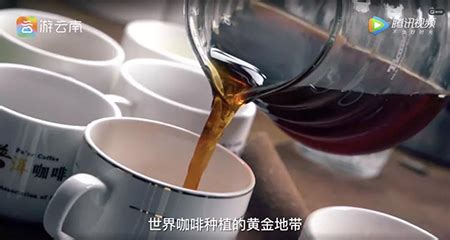 总有一些大师能喝出普洱茶树龄…_凤凰网视频_凤凰网