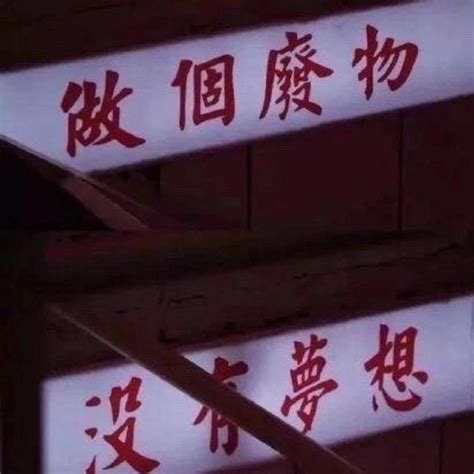 《邪帝医妃狠逆天》小说在线阅读-起点中文网