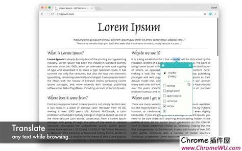 Rememberry-网页翻译插件，创建个性化生词复习体系 | Chrome插件屋