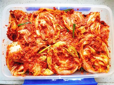 【韩国辣白菜的做法步骤图，韩国辣白菜怎么做好吃】球球-妈妈_下厨房