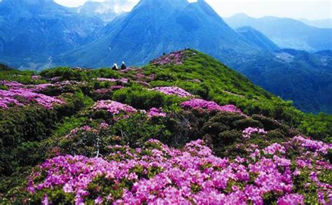Spring Scenery of Huangpi Mulan Yunwu Mountain in Wuhan, Hubei Stock ...
