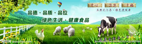 绿色生态天然自然农产食品logo商标志图片_LOGO_编号11247091_红动中国
