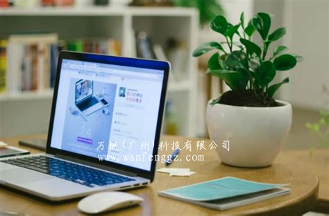 广州本土企业网站建设公司想要发展好要做那些方面 - 万枫(广州)科技有限公司