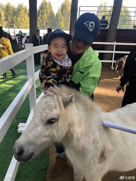 谢楠一家观看马术赛 吴京带小儿子摸马吴所谓骑马