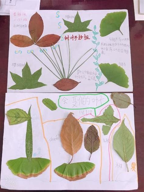 写植物的作文,植物作文,我最喜欢的植物作文_大山谷图库