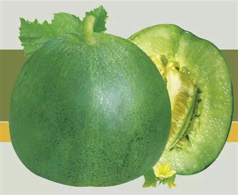 东北香瓜品种介绍,种植,种类_大山谷图库