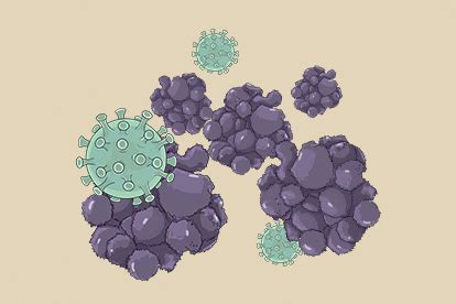 【新进展】于晓波合作团队开发国际首个新冠病毒全蛋白质组血液抗体检测多肽芯片-检验-转化医学网-转化医学核心门户