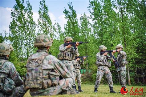第75集团军某旅开展步兵战术训练_国防教育·爱国主义教育