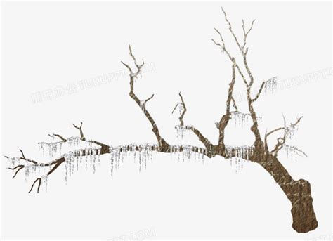 冬季干枯的大树风景图片免费下载_PNG素材_编号1yqilk2k8_图精灵
