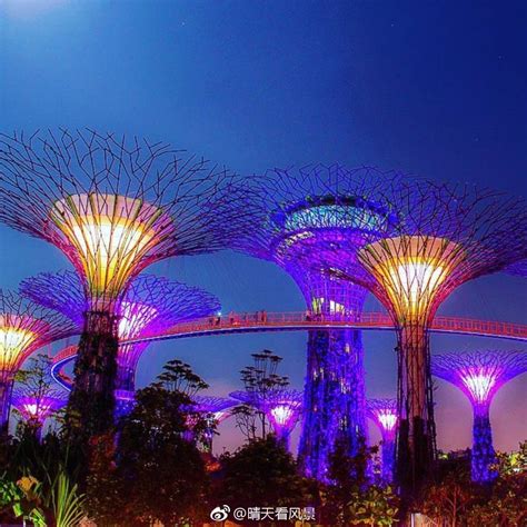 新加坡滨海湾花园门票-新加坡天宇旅游