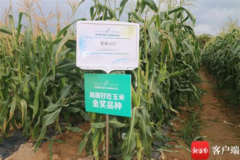 中国农业大学校友网 校友企业 莱州市金海种业有限公司