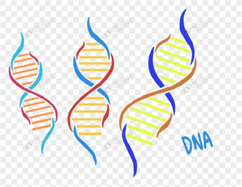 遗传学数字DNA构建摘要科学动画遗传信息概念设计染色体预防图片素材-正版创意图片308016287-摄图网