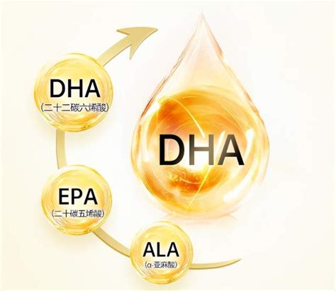 孕期怎么补充DHA?DHA到底有什么作用？孕智贝佳告诉你 - 知乎