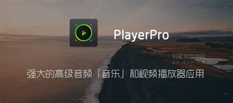 Download PlayerPro Music Player APK 5.35 for Android