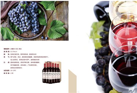 葡萄酒期刊设计|平面|书籍/画册|笼岛白石 - 原创作品 - 站酷 (ZCOOL)