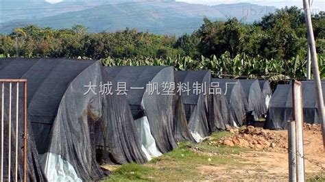 供应盖土防尘遮阳网 绿化盖土网价格-大城县一帆塑料制品厂