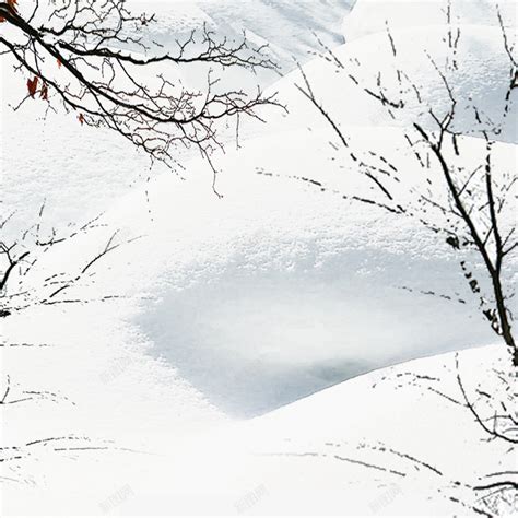 寒冷的狂风雪覆盖了俄罗斯森林高清图片下载-正版图片504987756-摄图网