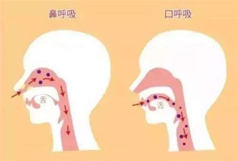 自我口腔保健第一步：教你正确的刷牙“姿势” - 知乎