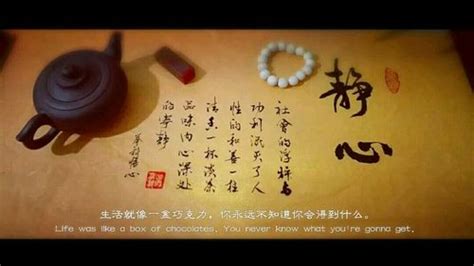 静心大全图片