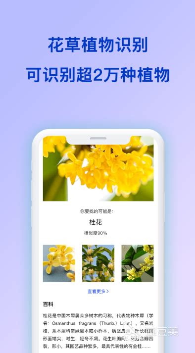 植物识别扫一扫免费下载-植物识别app下载官方版2023下载安装