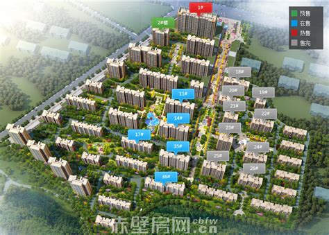 英荟凤凰城最新进展 - 家在深圳