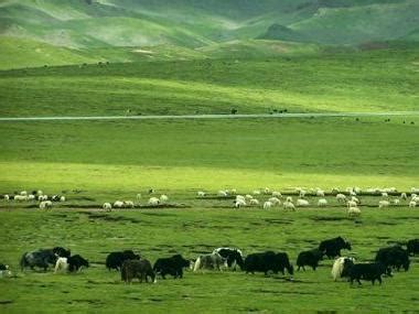 西藏那曲草原风光,湖泊池塘,自然风景,摄影,汇图网www.huitu.com