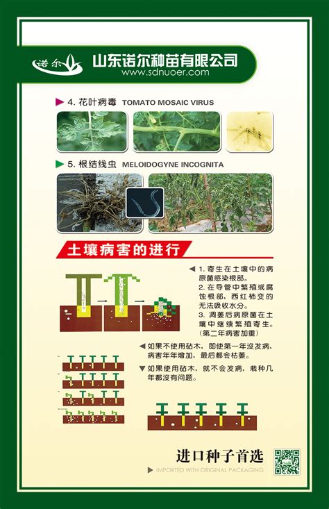 农产品种子海报|平面|海报|idmud - 原创作品 - 站酷 (ZCOOL)