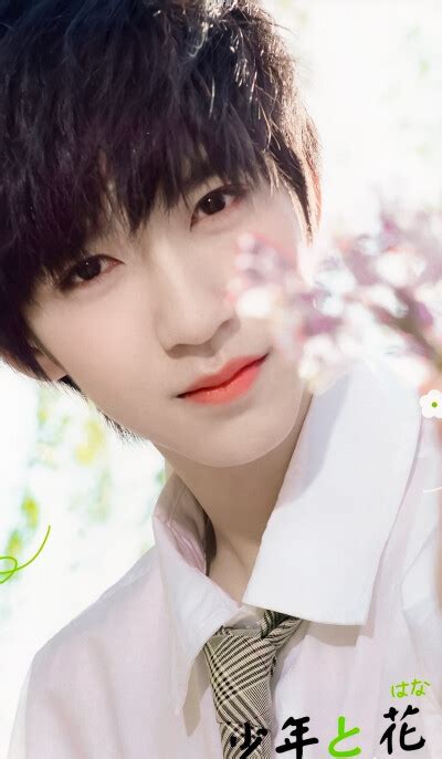 时代少年团贺峻霖图片