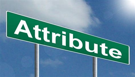 attribute是什么意思 attribute释义及例句