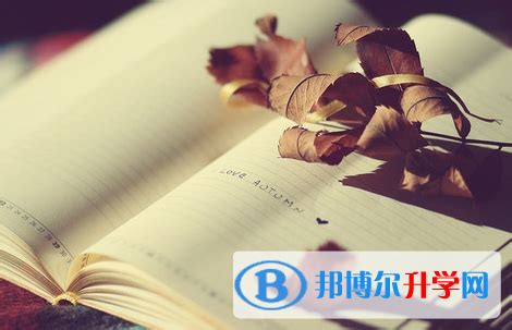 2023武汉中考志愿填报表图片- 武汉本地宝