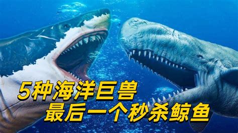 电影环太平洋里的深海巨兽是否存在，谈谈未被发现的新物种__凤凰网