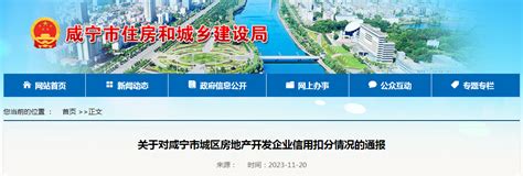 湖北省咸宁高新技术产业开发区-工业园网