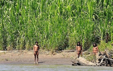 巴西确诊过百万，生活在亚马逊雨林里的土著人怎么样了？_澎湃号·湃客_澎湃新闻-The Paper