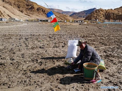 Daily life in Tibet - Xinhua | English.news.cn
