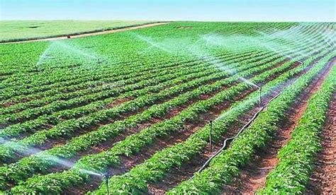 智慧农业助力节水灌溉发展-甘肃海创新能源科技有限公司