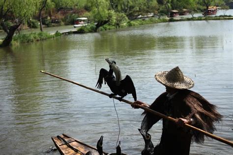 这里的渔夫单脚站立划船，捕鱼像表演杂技，险象环生