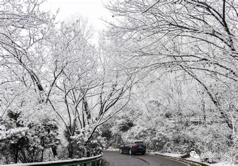 终于下雪啦！未来一小时，武汉市大部地区还将有小到中雪_长江云 - 湖北网络广播电视台官方网站