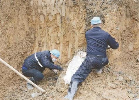 非法传销引发杀人埋尸案 挖半座山找到被害人尸体
