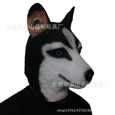 狗头二哈图片