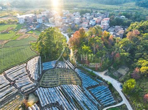 广西蒙山：乡村冬景美如画-人民图片网